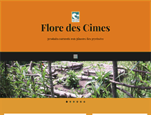 Tablet Screenshot of floredescimes.com